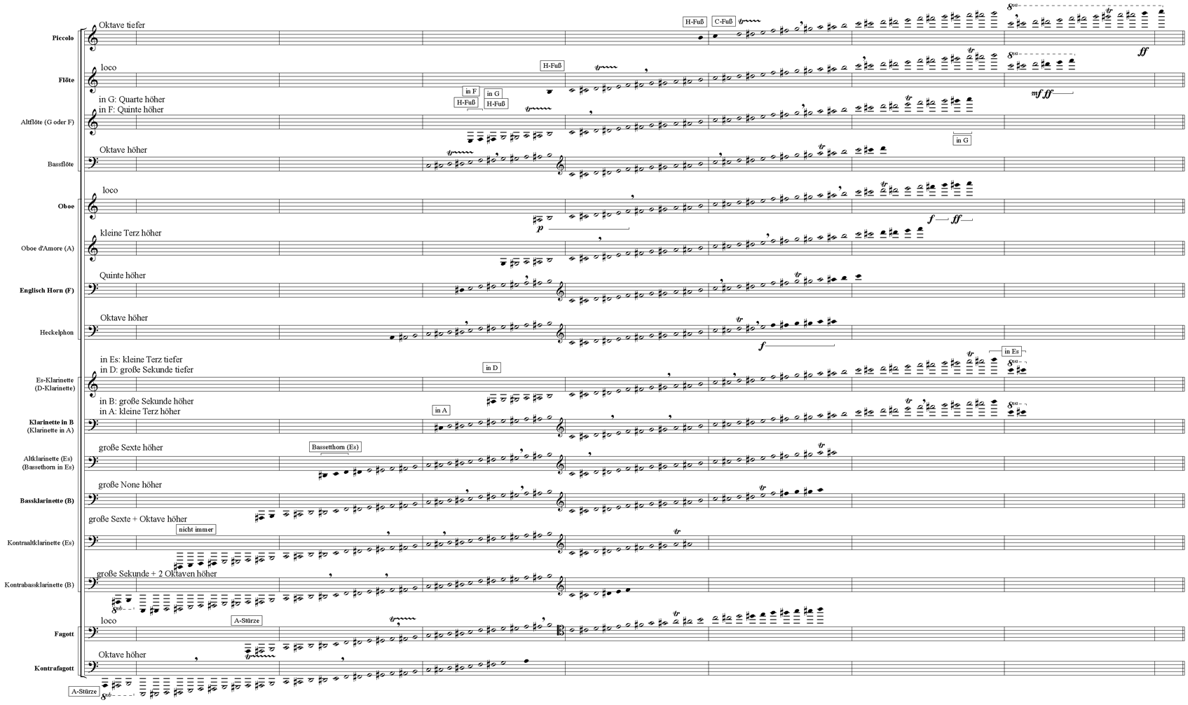 Tonumfänge der Holzblasinstrumente